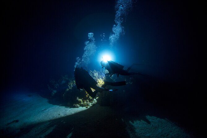 Night Dive Adventure in Oahu - Exploring the Night Dive Experience in Oahu