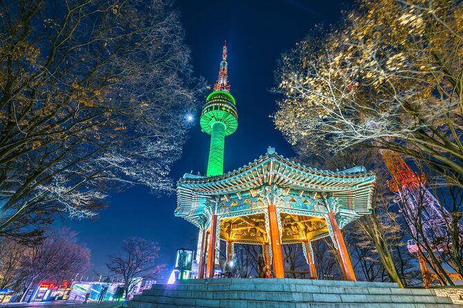 Night Flexible Private Guided Tour in Seoul(Optional Layover) - Transportation and Practicalities
