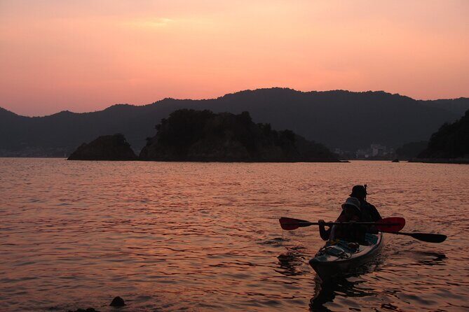 Night Kayak Tour Relax Under the Natural Glow of Sea Fireflies - The Tour in Detail