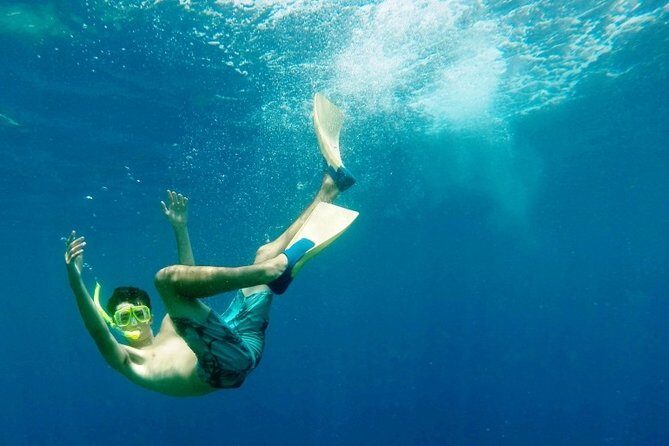 Night Manta Ray Tour | Departs from Keauhou Bay - Possible Drawbacks or Considerations