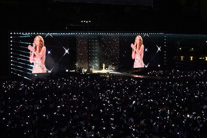 Night of VIP Concert in Mexico City with Private Transfer - What This Tour Offers and Why It Matters