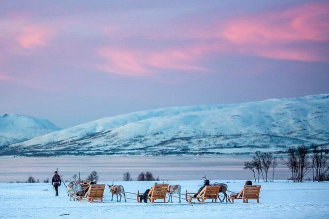 Night Reindeer Sledding with Camp Dinner and Chance of Northern Lights - Who Will Love This Tour?