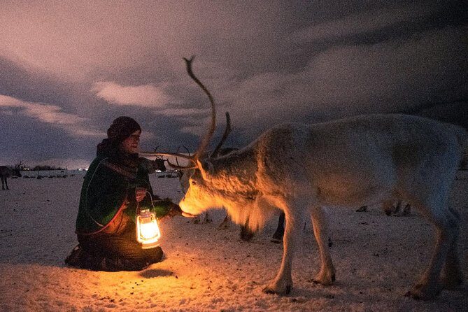 Night Reindeer Sledding with Camp Dinner and Chance of Northern Lights - FAQ