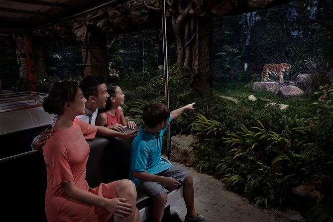 Night Safari with Buffet Dinner with hotel pick-up - Final Thoughts