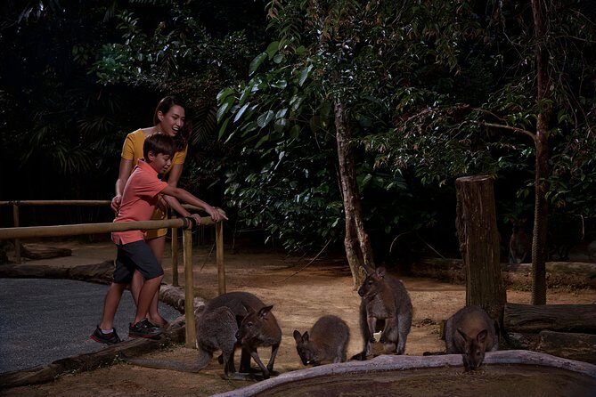 Night Safari with Buffet Dinner with hotel pick-up - FAQs