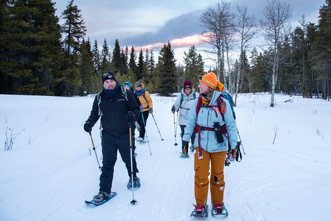 Night Snowshoeing Uniting Cultures with Local & Indigenous Guides - A Detailed Look at What to Expect