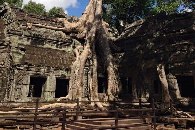 Night Street Tour in Siem Reap - Final Thoughts