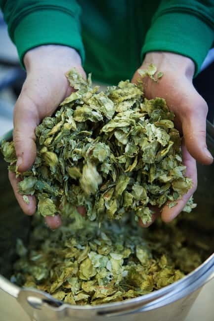 Night time tour of Harstad Craft Brewery - Discovering Harstad Craft Brewery: A Closer Look