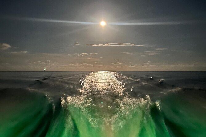 Night Tour Glass Bottom Boat in Islamorada - Who Should Consider This Tour?