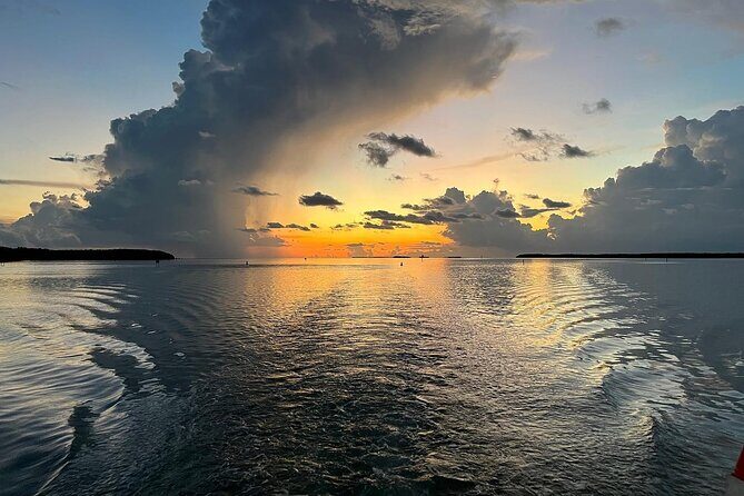 Night Tour Glass Bottom Boat in Islamorada - The Sum Up