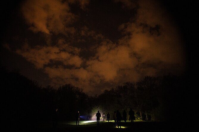 Night Tour in Hoia Baciu Forest - An In-Depth Look at the Hoia Baciu Night Tour