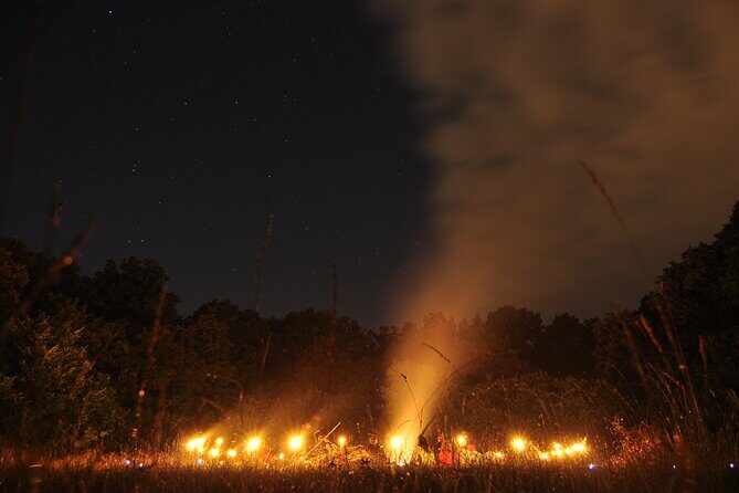 Night Tour in Hoia Baciu Forest - Who Should Book This Tour?