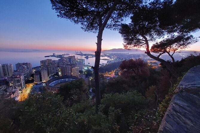 Night Tour in Malaga: Enjoy the Sunset and City Lights - Who Would Love This Experience?
