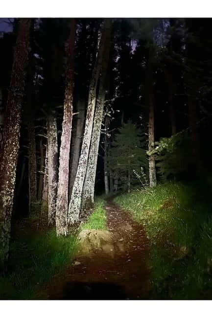 Night view of Sofia, mountain hiking tour to Kamen del Peak. - Key Points