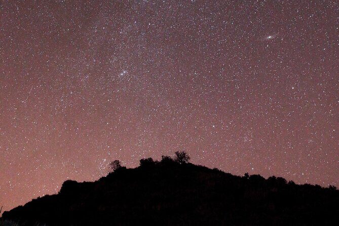 Night Visit to the Engravings of Foz Côa in 4x4 between DOURO and CÔA - Key Points