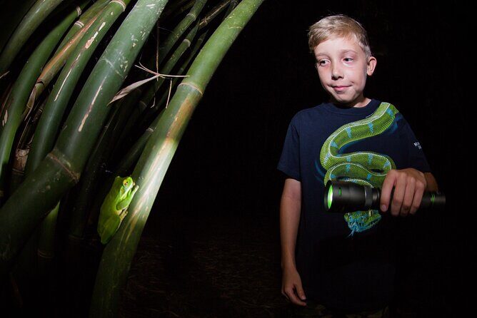 Night Walk in Cairns Botanic Gardens - Let's Go Buggin - Final Thoughts: Who Should Sign Up?
