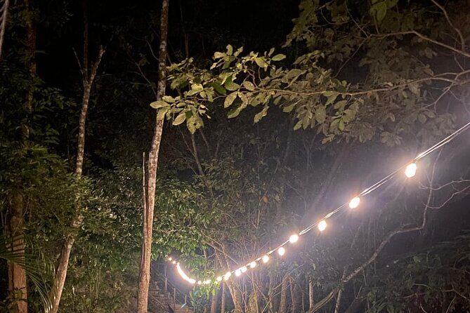 Night Zipline Adventure with Dinner and Show in Puerto Vallarta - The Sum Up