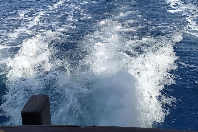 Nightly squid fishing - private tour - The Sum Up: Is It Worth It?