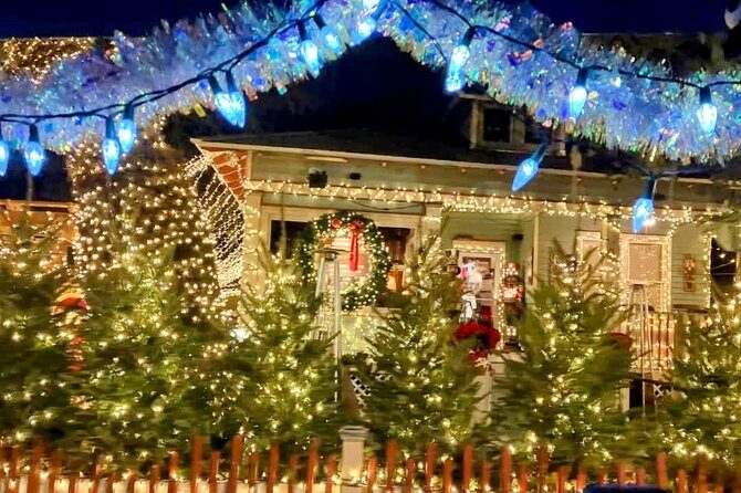 Nights of Lights Private Electric Golfcart Tour up to 7 People - What to Expect During the Ride