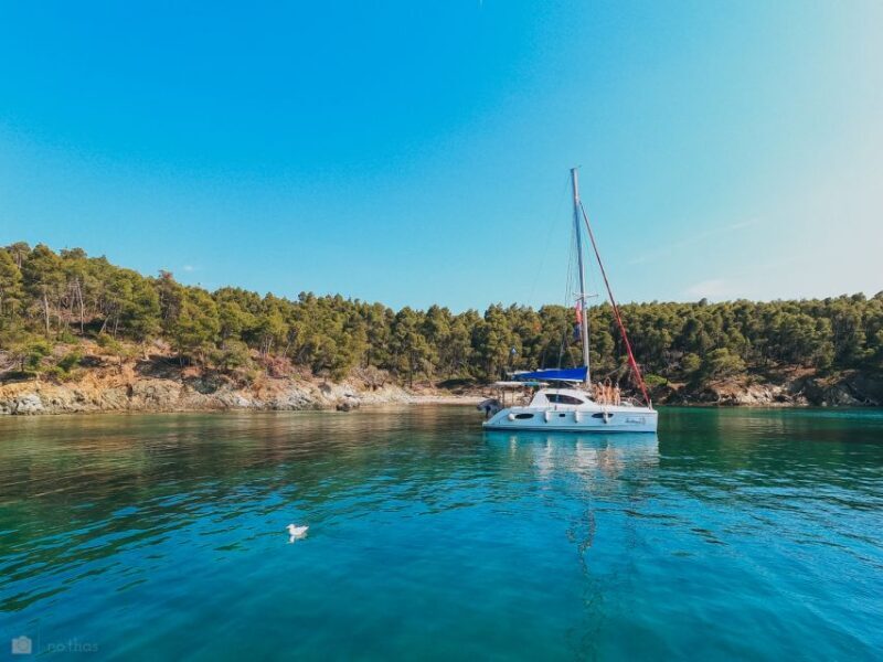 Nikiti: Private Catamaran Day Cruise with Open Bar - Price and Value