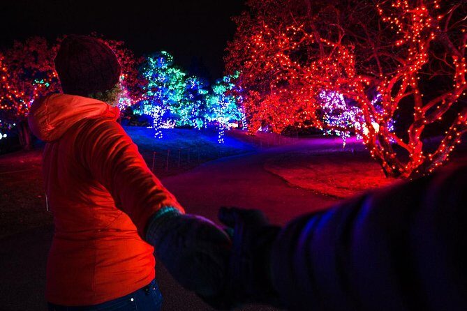 Nikka Yuko Japanese Garden Winter Light Festival - Who Should Consider This Tour?