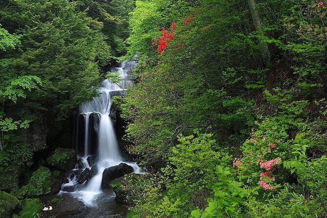Nikko Day Tour Private with English Speaking Driver - Nikko Day Tour Private with English Speaking Driver: An In-Depth Look