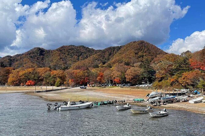 Nikko Private Day Tour with Guide by Car (from Tokyo) - Exploring the Itinerary in Depth