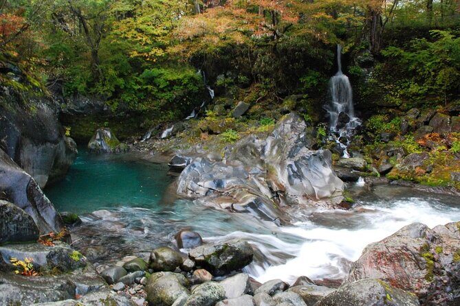 Nikko Private SightSeeing Day Tour (From Tokyo) - FAQ