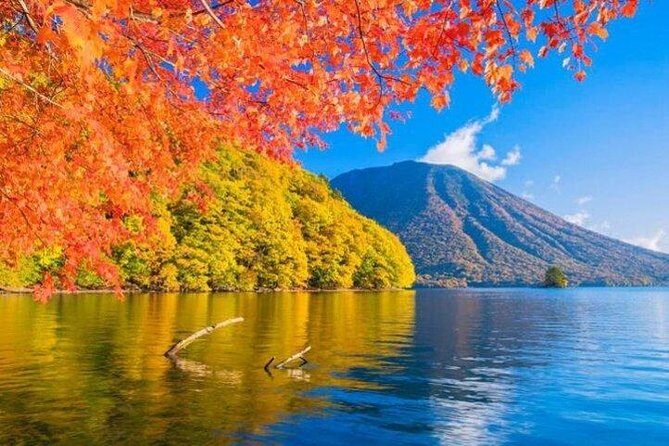 Nikko Private Tour from Tokyo with Licensed Guide and Vehicle - Final Thoughts