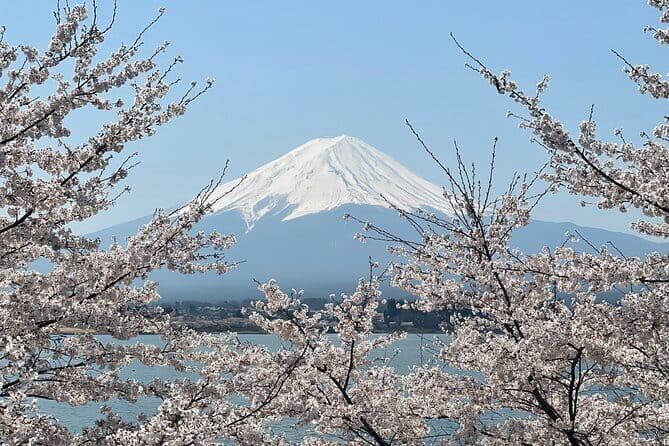 Nikko Sightseeing 10 Hours Private Chartered Car Tour from Tokyo - FAQ