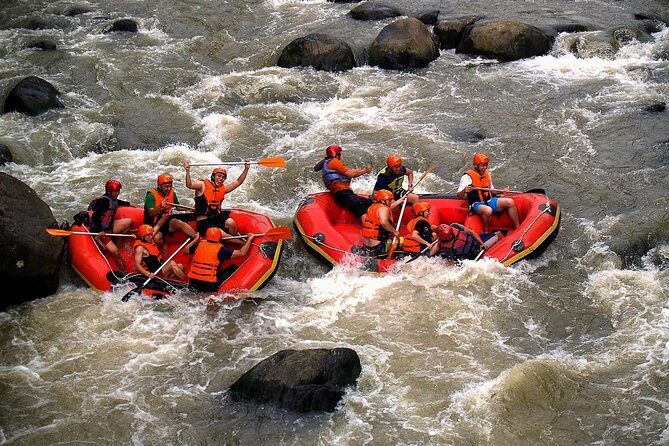 Nimanga River Rafting Experience in Manado North Sulawesi - An In-Depth Look at the Nimanga River Rafting Tour