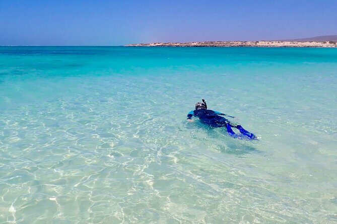 Ningaloo In A Full day Hike and Snorkel Tour - Discovering the Highlights of Ningaloo and Cape Range