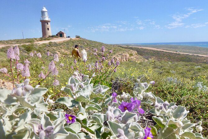 Ningaloo In A Full day Hike and Snorkel Tour - The Value of a Full Day in Nature