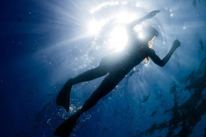 Ningaloo Reef Snorkel and Wildlife Adventure - An Overview of the Tour Experience