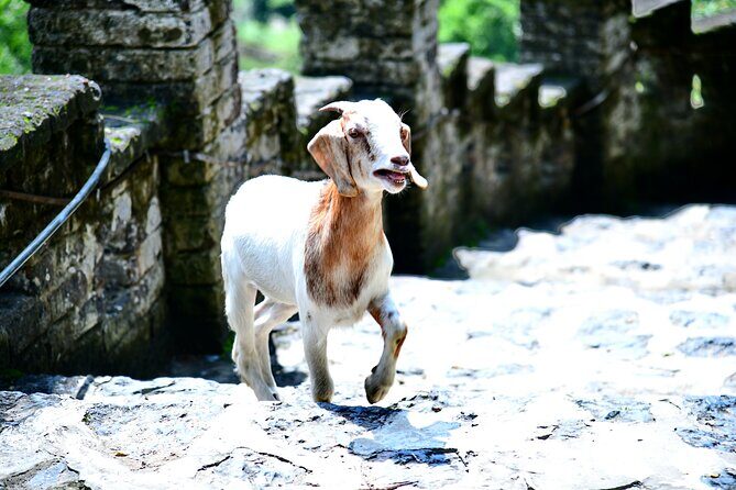 Ninh Binh 2 days 1 night Tour from Hanoi (Small Group of 9) - FAQs