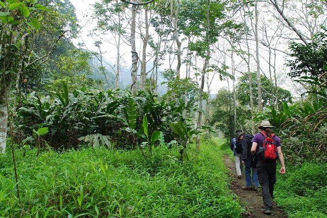 Ninh Binh 2Days/1Night With Boat Trip & Cuc Phuong National Park - Frequently Asked Questions