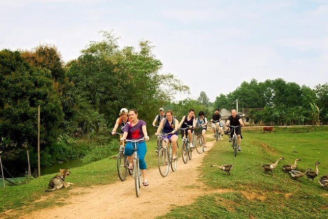 Ninh Binh - Bai Dinh - Trang An full day trip from Hanoi with luxury transfers - Introduction to the Ninh Binh - Bai Dinh - Trang An Tour