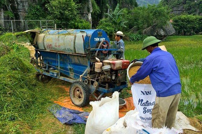 Ninh Binh - Bai Dinh - Trang An full day trip from Hanoi with luxury transfers - Authentic Experiences and Insights from Reviewers