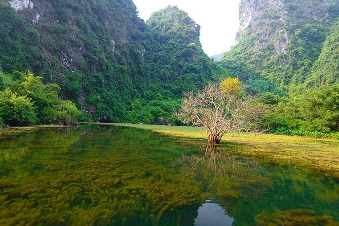 Ninh Binh Day Tour: Bai Dinh Trang An boat trip - Final Words