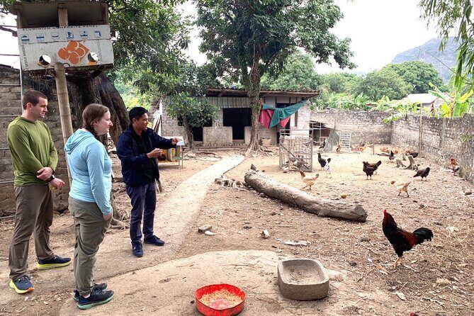 Ninh Binh Day Tour by Luxury Transfer from HANOI (Group of 9) - Final thoughts