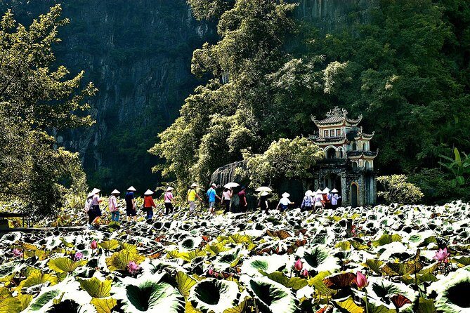 Ninh Binh Day Tour Small Group - Luxury Transfer - An In-Depth Look at the Experience
