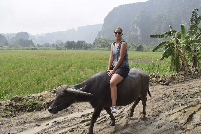 Ninh Binh eco group tour - Buffalo riding, rice planting, fishing - FAQs