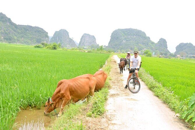 Ninh Binh Full-Day Small Group of 9 Guided Tour from Hanoi - The Value and Who This Tour Is For