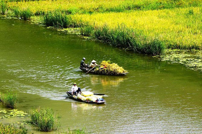 Ninh Binh-Hoa Lu-Tam Coc - Mua cave - Dragon Mountain Hiking 1 Day Tour - Practical Details and What to Expect