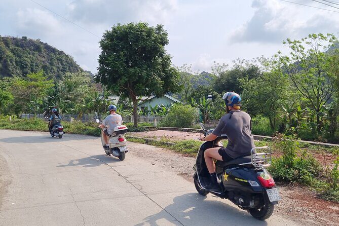 Ninh Binh Jeep/Vespa Tours: Highlights & Hidden Gems - The Sum Up