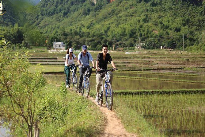 NINH BINH MEMORABLE DAY: Hoa Lu, Mua Cave, boat trip Tam Coc, Trang An optional - The Sum Up