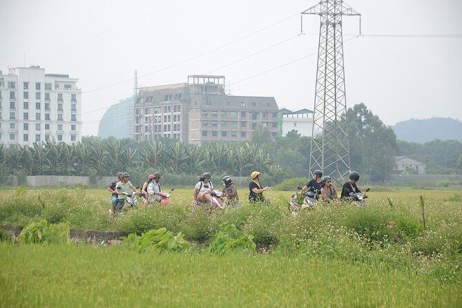 Ninh Binh Motobike Guided Tour Full Day - Authenticity and Practical Tips