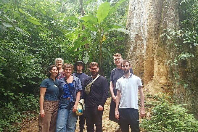 Ninh Binh One Day Cuc Phuong National Park Small Group Tour - An In-Depth Look at the Itinerary