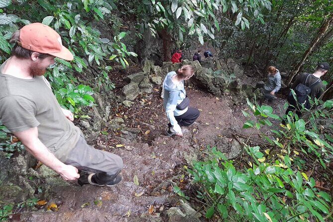 Ninh Binh : Small Group Tour Discover Cuc Phuong National Park - Key Points