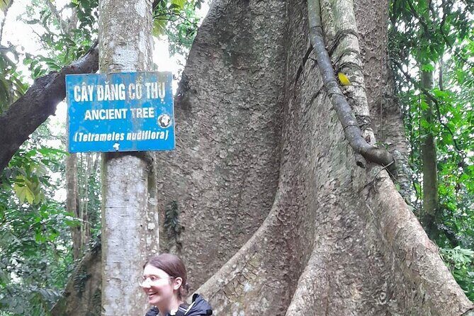 Ninh Binh : Small Group Tour Discover Cuc Phuong National Park - Transportation, Group Size, and Overall Value